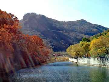 上海新茶网：Shanghai's gathering place for ice and snow sports enthusiasts