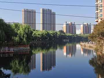 爱上海：What are the social platforms in Shanghai？