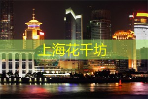 上海新茶网：夜上海最震撼的演艺秀，带你进入奇幻的夜晚！