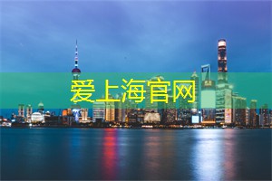 爱上海同城论坛：相亲角的情感地图：寻找爱情的故事集