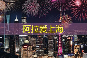 爱上海同城交友：张口就来！上海论坛助手，为你解锁知识迷宫！