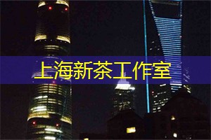 上海新茶工作室微信：热议！上海新增5座地铁站，打造更便利的城市交通网络！