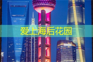 爱上海同城论坛：金锁碎