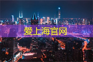 上海龙凤419：最佳拍摄角度：上海夜景摄影指南