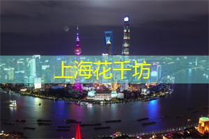 上海新茶资源：碰撞的地点：夜游的多元文化