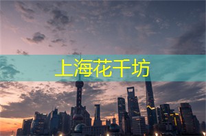 上海品茶网：流行元素中的健身与舞蹈